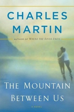 The Mountain Between Us.jpg